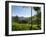 View over Tea Plantations, Near Munnar, Kerala, India, Asia-Stuart Black-Framed Photographic Print