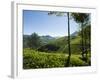 View over Tea Plantations, Near Munnar, Kerala, India, Asia-Stuart Black-Framed Photographic Print