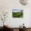 View over Tea Plantations, Near Munnar, Kerala, India, Asia-Stuart Black-Photographic Print displayed on a wall