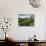 View over Tea Plantations, Near Munnar, Kerala, India, Asia-Stuart Black-Mounted Photographic Print displayed on a wall