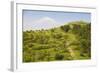 View over the Araratian Plain Towards Mount Ararat, Armenia-Michael Runkel-Framed Photographic Print