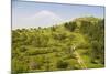 View over the Araratian Plain Towards Mount Ararat, Armenia-Michael Runkel-Mounted Photographic Print