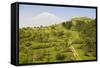 View over the Araratian Plain Towards Mount Ararat, Armenia-Michael Runkel-Framed Stretched Canvas