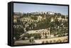 View over the Basilica of the Agony-Yadid Levy-Framed Stretched Canvas