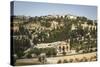 View over the Basilica of the Agony-Yadid Levy-Stretched Canvas