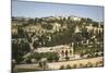 View over the Basilica of the Agony-Yadid Levy-Mounted Photographic Print