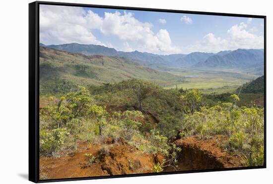 View over the Blue River Provincial Park, Yate, New Caledonia, Pacific-Michael Runkel-Framed Stretched Canvas