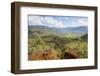 View over the Blue River Provincial Park, Yate, New Caledonia, Pacific-Michael Runkel-Framed Photographic Print