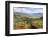 View over the Blue River Provincial Park, Yate, New Caledonia, Pacific-Michael Runkel-Framed Photographic Print