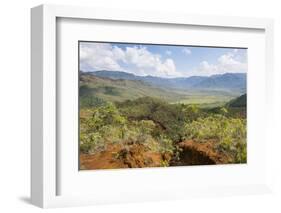 View over the Blue River Provincial Park, Yate, New Caledonia, Pacific-Michael Runkel-Framed Photographic Print