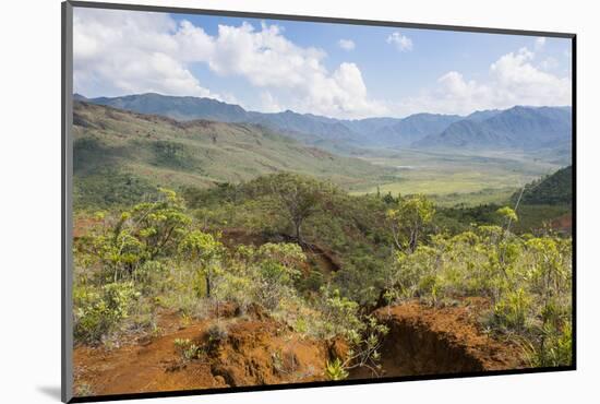 View over the Blue River Provincial Park, Yate, New Caledonia, Pacific-Michael Runkel-Mounted Photographic Print