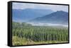 View over the Blue River Provincial Park, Yate, New Caledonia, Pacific-Michael Runkel-Framed Stretched Canvas