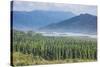 View over the Blue River Provincial Park, Yate, New Caledonia, Pacific-Michael Runkel-Stretched Canvas