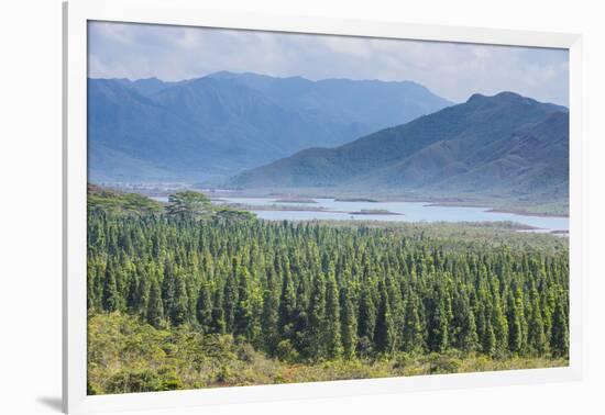 View over the Blue River Provincial Park, Yate, New Caledonia, Pacific-Michael Runkel-Framed Photographic Print