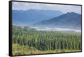 View over the Blue River Provincial Park, Yate, New Caledonia, Pacific-Michael Runkel-Framed Stretched Canvas