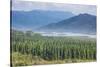 View over the Blue River Provincial Park, Yate, New Caledonia, Pacific-Michael Runkel-Stretched Canvas