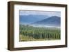 View over the Blue River Provincial Park, Yate, New Caledonia, Pacific-Michael Runkel-Framed Photographic Print