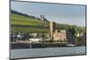 View over the Bruemserburg in Ruedesheim on the River Rhine, Rhine Gorgehesse, Germany, Europe-Michael Runkel-Mounted Photographic Print