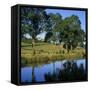 View over the Burgundy Canal to the Chateau, Chateauneuf, Burgundy, France, Europe-Stuart Black-Framed Stretched Canvas