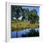 View over the Burgundy Canal to the Chateau, Chateauneuf, Burgundy, France, Europe-Stuart Black-Framed Premium Photographic Print