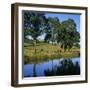 View over the Burgundy Canal to the Chateau, Chateauneuf, Burgundy, France, Europe-Stuart Black-Framed Photographic Print