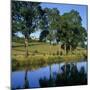 View over the Burgundy Canal to the Chateau, Chateauneuf, Burgundy, France, Europe-Stuart Black-Mounted Photographic Print