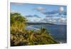 View over the coastline of Niue, South Pacific, Pacific-Michael Runkel-Framed Photographic Print