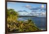 View over the coastline of Niue, South Pacific, Pacific-Michael Runkel-Framed Photographic Print