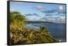 View over the coastline of Niue, South Pacific, Pacific-Michael Runkel-Framed Stretched Canvas