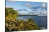 View over the coastline of Niue, South Pacific, Pacific-Michael Runkel-Stretched Canvas