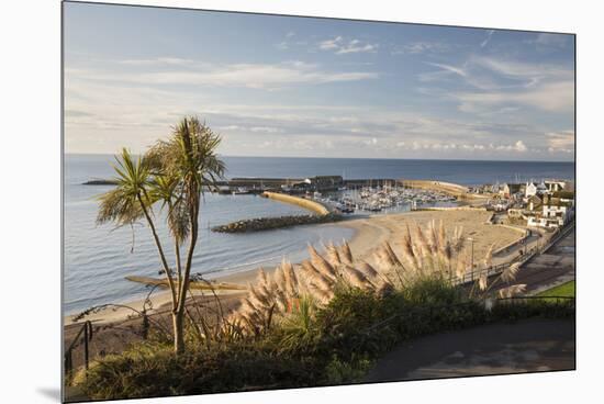 View over The Cobb and beach from Langmoor and Lister gardens, Lyme Regis, Dorset, England, United -Stuart Black-Mounted Premium Photographic Print