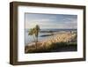 View over The Cobb and beach from Langmoor and Lister gardens, Lyme Regis, Dorset, England, United -Stuart Black-Framed Photographic Print