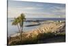 View over The Cobb and beach from Langmoor and Lister gardens, Lyme Regis, Dorset, England, United -Stuart Black-Stretched Canvas