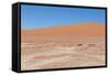 View over the Deadvlei with the Famous Red Dunes of Namib Desert-Micha Klootwijk-Framed Stretched Canvas