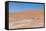 View over the Deadvlei with the Famous Red Dunes of Namib Desert-Micha Klootwijk-Framed Stretched Canvas