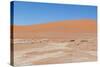 View over the Deadvlei with the Famous Red Dunes of Namib Desert-Micha Klootwijk-Stretched Canvas