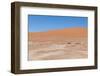 View over the Deadvlei with the Famous Red Dunes of Namib Desert-Micha Klootwijk-Framed Photographic Print