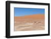 View over the Deadvlei with the Famous Red Dunes of Namib Desert-Micha Klootwijk-Framed Photographic Print