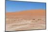 View over the Deadvlei with the Famous Red Dunes of Namib Desert-Micha Klootwijk-Mounted Photographic Print