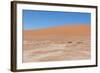 View over the Deadvlei with the Famous Red Dunes of Namib Desert-Micha Klootwijk-Framed Photographic Print