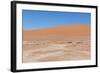 View over the Deadvlei with the Famous Red Dunes of Namib Desert-Micha Klootwijk-Framed Photographic Print