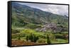 View over the Dieng Plateau, Java, Indonesia, Southeast Asia, Asia-Michael Runkel-Framed Stretched Canvas