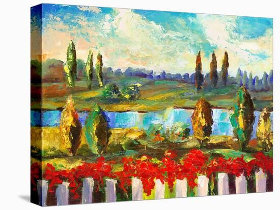 View over the Fence-Vessela G.-Stretched Canvas