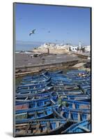 View over the Fishing Harbour to the Ramparts and Medina-Stuart Black-Mounted Photographic Print