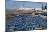 View over the Fishing Harbour to the Ramparts and Medina-Stuart Black-Mounted Photographic Print