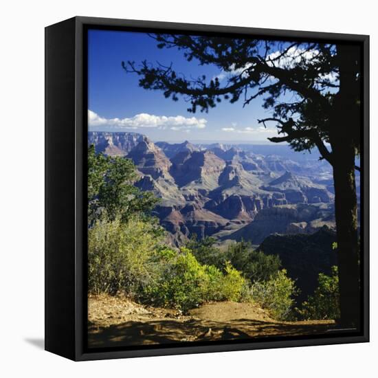 View Over the Grand Canyon, Unesco World Heritage Site, Arizona, United States of America (USA)-G Richardson-Framed Stretched Canvas