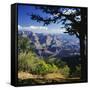 View Over the Grand Canyon, Unesco World Heritage Site, Arizona, United States of America (USA)-G Richardson-Framed Stretched Canvas