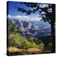 View Over the Grand Canyon, Unesco World Heritage Site, Arizona, United States of America (USA)-G Richardson-Stretched Canvas