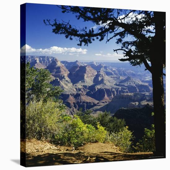 View Over the Grand Canyon, Unesco World Heritage Site, Arizona, United States of America (USA)-G Richardson-Stretched Canvas