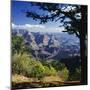View Over the Grand Canyon, Unesco World Heritage Site, Arizona, United States of America (USA)-G Richardson-Mounted Photographic Print